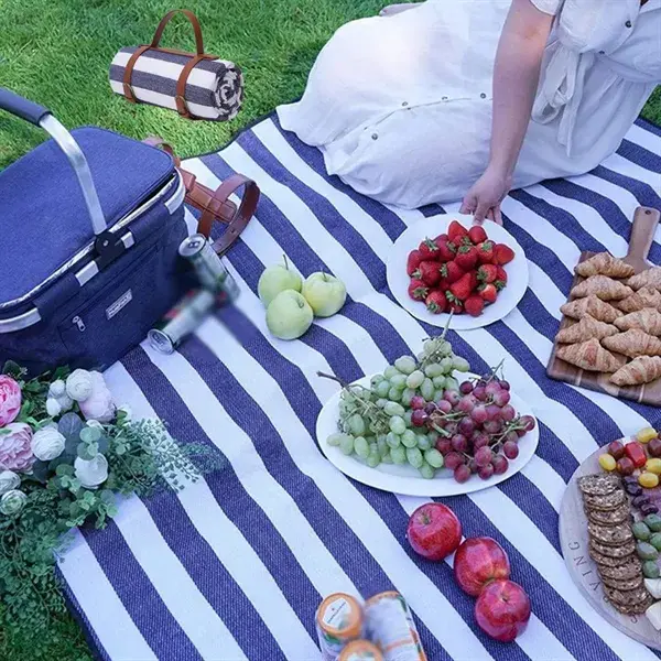 Soft portable waterproof dustproof thick tote picnic mat